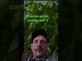 CURTAIN. POIROTS LAST CASE STARRING Markus doyle