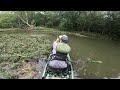 Topwater was on FIRE! — 86 Inches of Bass on a Missouri Ozark Stream