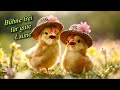 FrГ Hliche GrГјГџe Mit Musik FГјr Einen SchГ Nen Tag Mit Guter Laune рџ FrГ Hliche GrГјГџe Mit Musik FГјr Einen SchГ Nen Tag Mit Guter Laune рџ