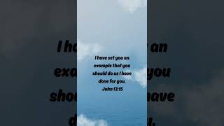 I have set you an example that you should do as I have done for you. John 13:15