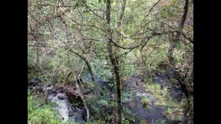 RUTA DA AUGA DE GUITIRIZ 1 (PONTE DE SAN ALBERTE-PONTE DE PARGA) LUGO 2011