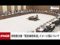 【国会中継】衆院憲法審査会 「緊急事態条項」のイメージ案について(2026年5月14日)