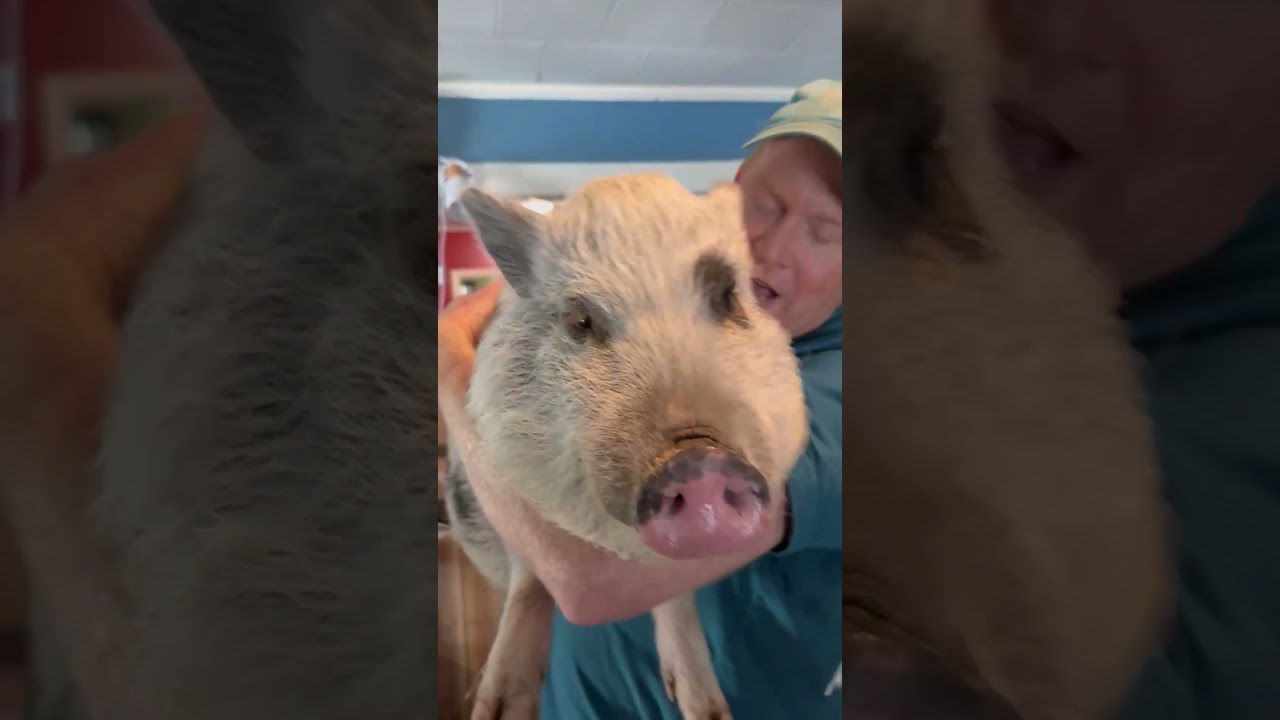 Charlotte is a Blanket Thief  