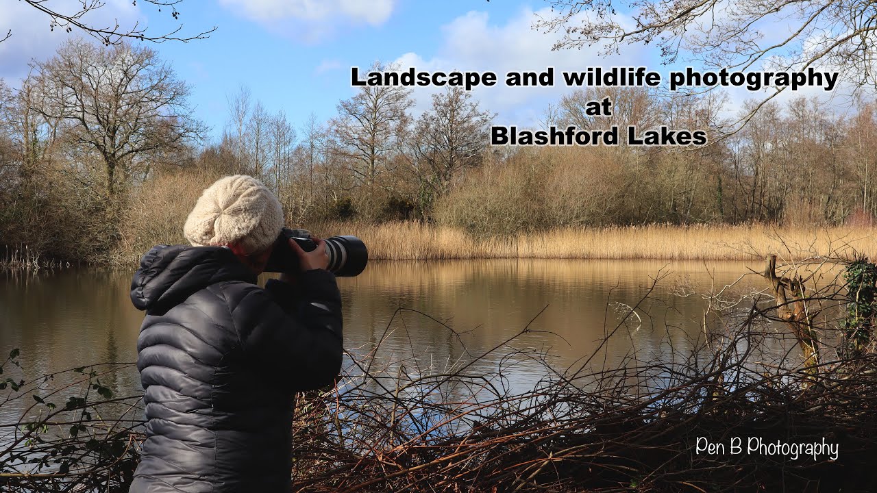 landscape-and-wildlife-photography-at-blashford-lakes-youtube