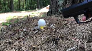 Shooting Egg In Slow Motion With Air Soft Gun