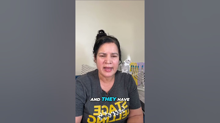 Reconnecting Adopted Children: Embracing New Family Ties