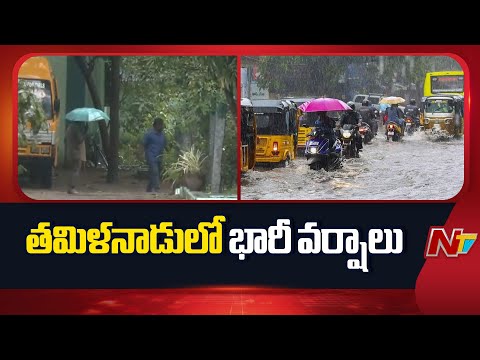 Heavy Rains in Tamil Nadu | NTV Telugu - NTVTELUGU