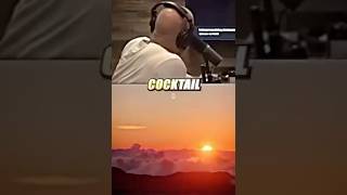 Celebrity Bert Kreischer’s explanation of why he doesn’t ever want to stop drinking. Wealth