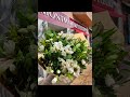 Ramos silvestres #FloristeriaMontmartreFleurs #Viral #flyy #ramos www.montmartrefleurs.com