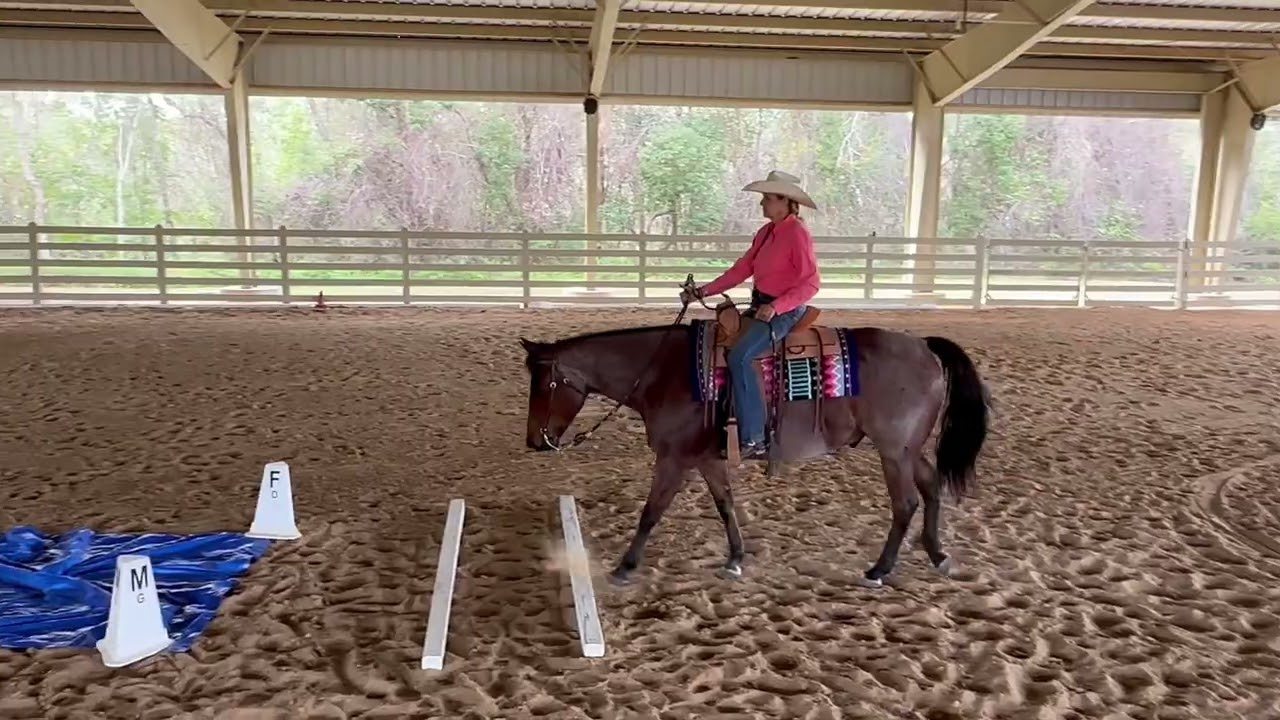 SUNSO Jan 2026 Mary Ann Kocolowski & FQHR Sweet Whiskey/Ranch AM Trail
