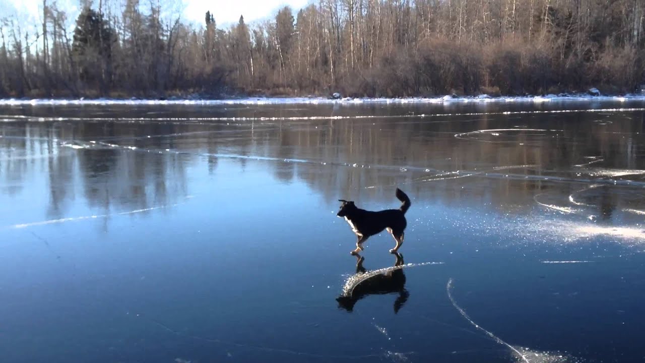 Skating Lac La Ronge Dec 1st 2015