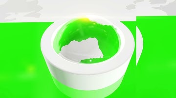 BROADCASTING MOTION GRAPHICS | ROFINA TV IDENT McChacha Designs