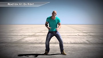 Reaction Hit On Right - 3d Motion Capture FBX