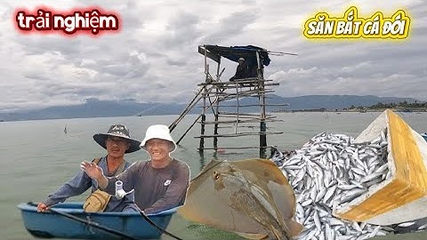 Trải nghiệm cuộc sống trên căng chòi giữa biển. Săn bắt cá đói chế biến món ăn (trang thái tv)