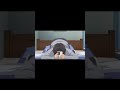 Short [Dkb] Kimizero   S01E02 [1080P][Hevc X265 10Bit][M 3 - Momento Épico #249