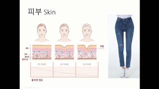 피부층과 얕은 정맥