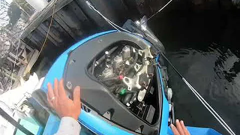 Evinrude 200 H.O. Spark Plug Change