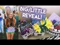 SORORITY BIG/LITTLE REVEAL! // What I Gave My Little + Vlog