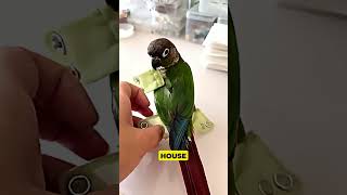 You Won’t Believe This Bird