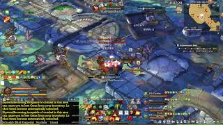 Drain Bug, Sept 19