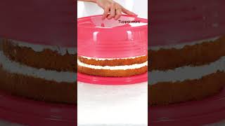 Cake Taker Round - Rayakan Tahun Baru