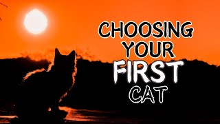 Purrfect Match: Choosing Your First Cat!