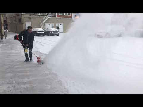 Echo Pro-Sno