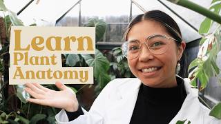 Let's Learn Plant Anatomy | Plant 101