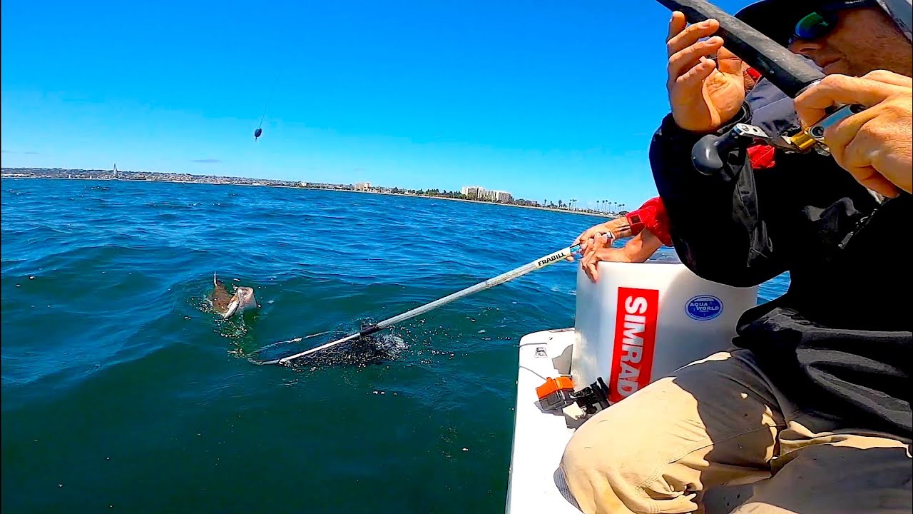 Маленькая лодка, маленькие окурки, сильный ветер, большой залив | Ловля палтуса в заливе Сан-Диег...