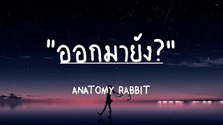 ออกมายัง-ANATOMY RABBIT(เนื้อเพลง)