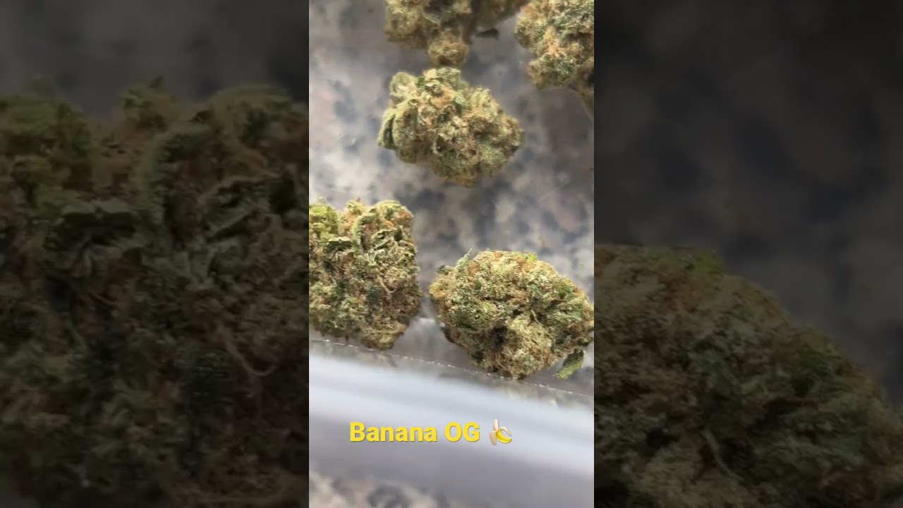 What are we smoking on today?! Banana OG for me ! 