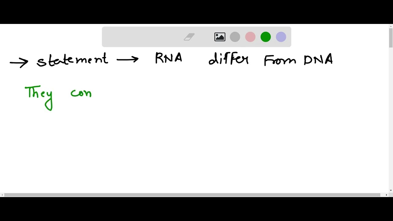 Which statement describes one way that RNA differs from DNA? - YouTube