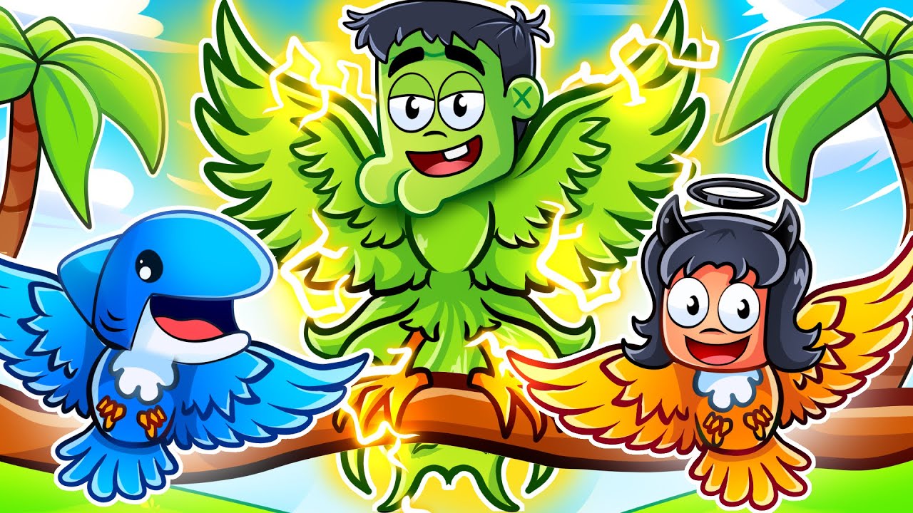 Having A OP ELEMENTAL BIRD FAMILY