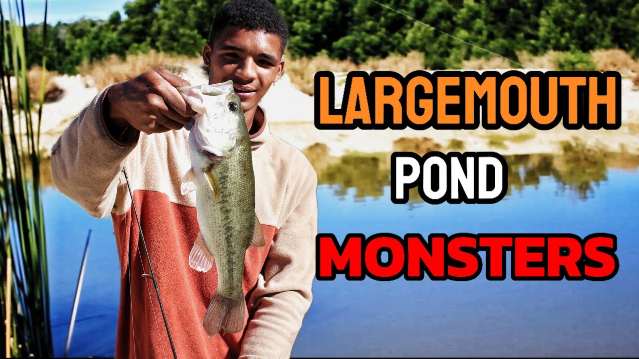 Fishing for 10lb BASS in trophy Pond    ( Big bass)