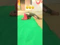 new asana yoga poses