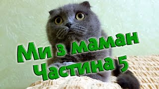 Ми з маман. Частина 5 😂 #scottishfold #catsworld #cats