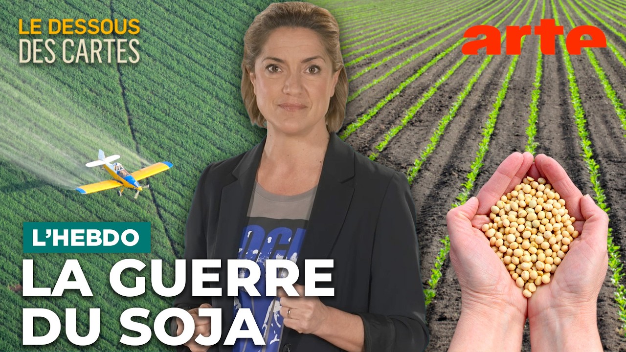 Soja : une graine géopolitique | Le dessous des cartes - ARTE