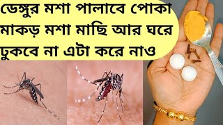 ডেঙ্গুর মসা ঘরে ঢুকবে না, সব পোকামাকড় পালাবে সন্ধ্যা বেলা 3 মিনিট এই উপায় টি করো/kitchen tips