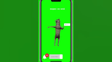 #видео #волк #мем #р_е_к_о_м_е_н_д_а_ц_и_и