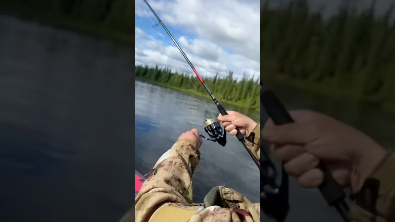 Первая сёмга в туре это всегда эмоции 🎣 
