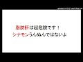 脂肪肝ですがシナモンパウダーはとっていいのか？超危険です。すぐに梅流し断食で脂肪を自食しましょう。