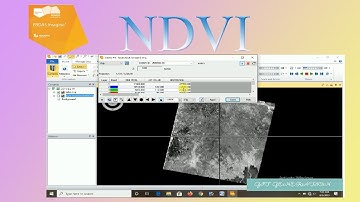 Calculating NDVI using ERDAS Imagine 2015