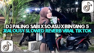 DJ PALING SABI X SO ASU X BINTANG 5 X JEALOUSY SLOWED REVERB VIRAL TIKTOK JEDAG JEDUG TERBARU
