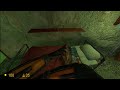 Rare footage of Gordon Freeman goes to Sleep