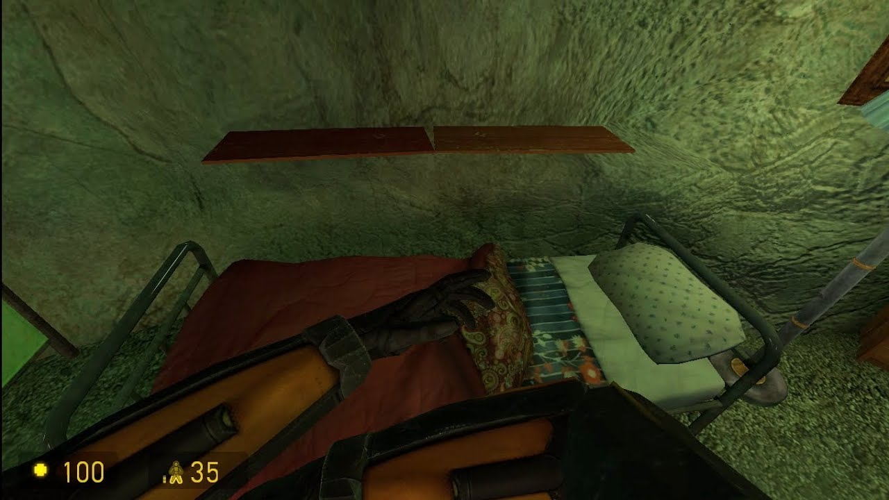 Rare footage of Gordon Freeman goes to Sleep