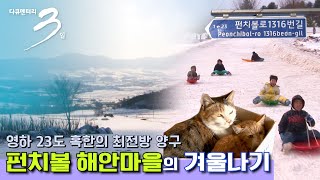 [다큐3일 ★풀버전] 최전방 양구 펀치볼 마을의 겨울나기 (KBS 100124 방송)