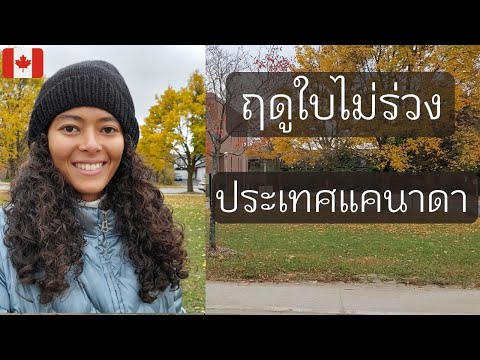 วีดีโอ: ที่ชมใบไม้ร่วงที่ดีที่สุดในแคนาดา