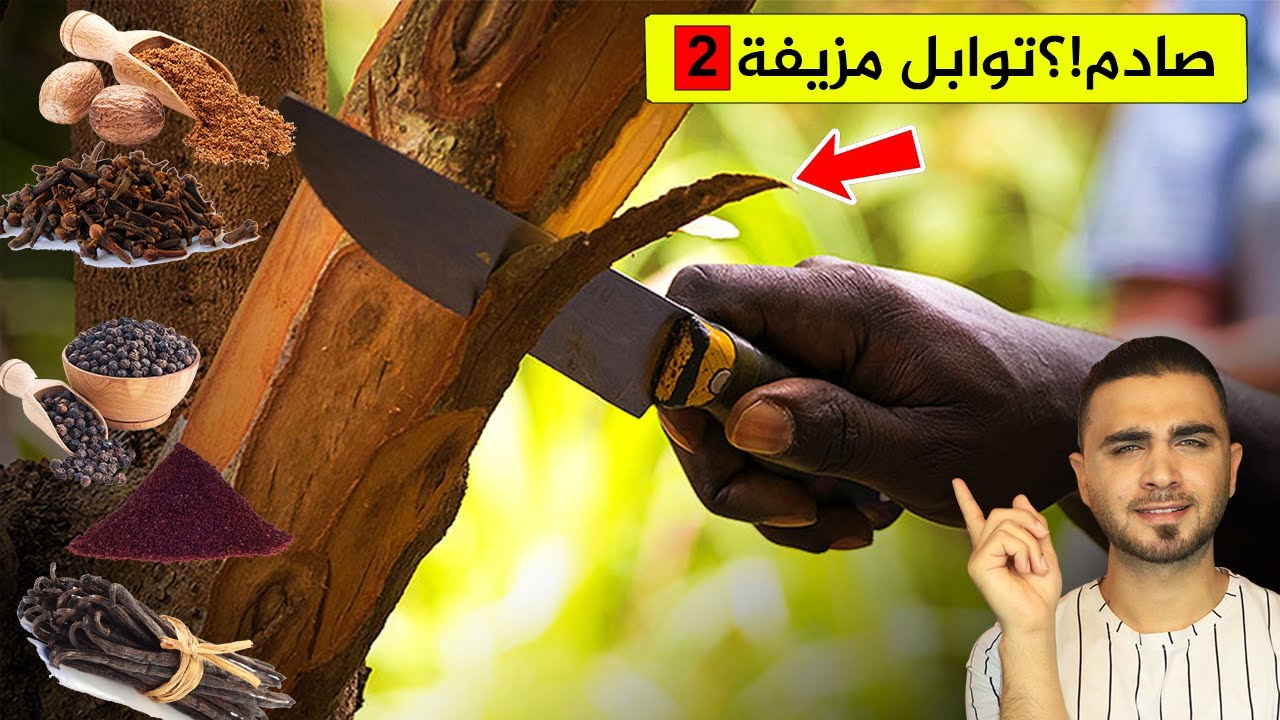 لن تتخيل كيف يتم انتاج التوابل والبهارات الحقيقية😱تزوير التوابل والبهارات!؟