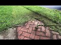 Most OVERGROWN Sidewalk On YouTube