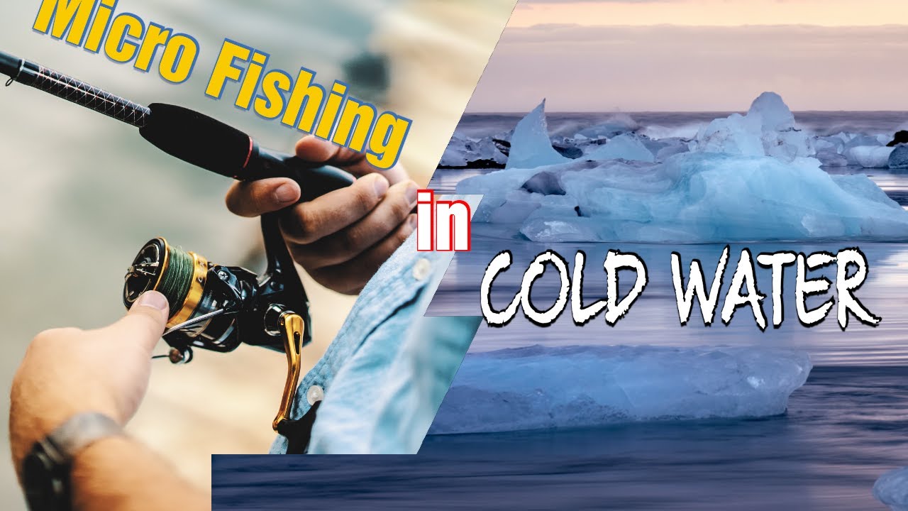Micro Fishing COLD WATER for 3 Species!